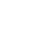 Expert Service